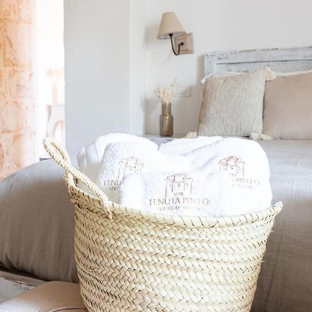 Tenuta Pinto Mola di Bari Εξωτερικό φωτογραφία